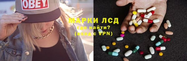 твердый Инсар