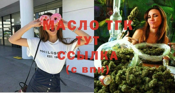 индика Иннополис