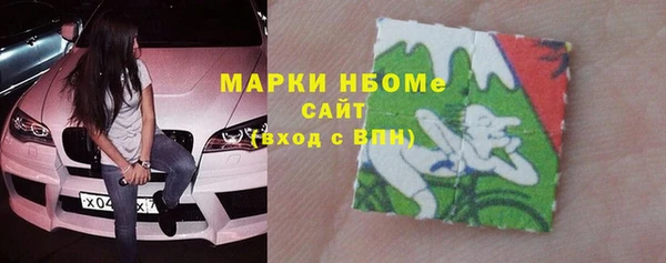 индика Иннополис