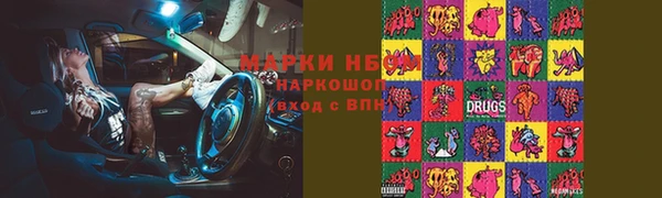 твердый Инсар