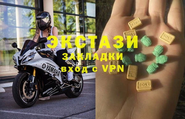 твердый Инсар