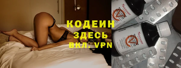 индика Иннополис