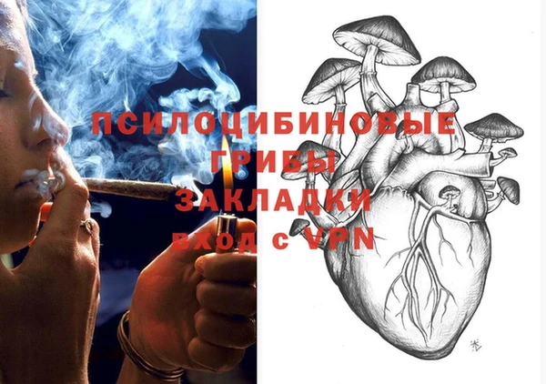 индика Иннополис