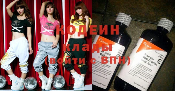 твердый Инсар