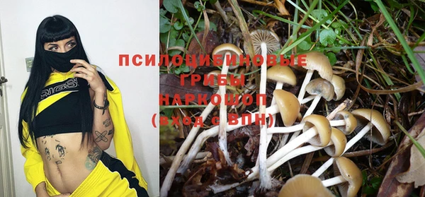 твердый Инсар