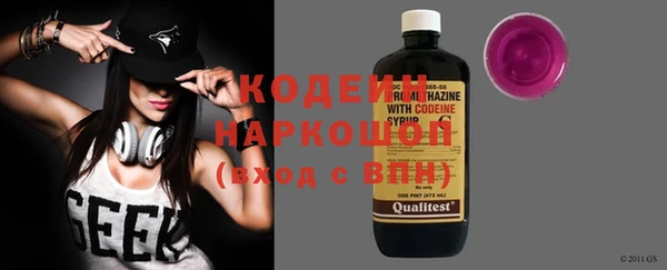 индика Иннополис