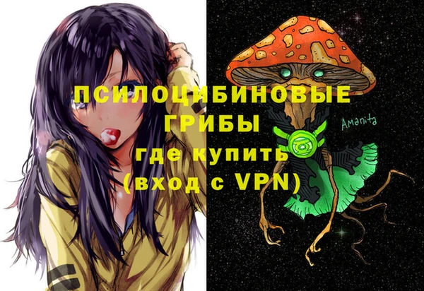 индика Иннополис