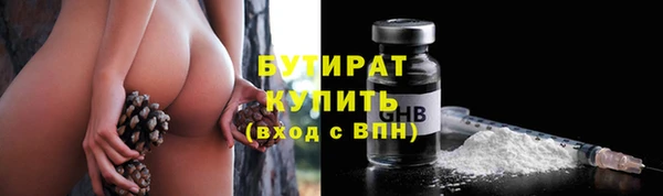 твердый Инсар