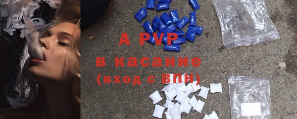 твердый Инсар
