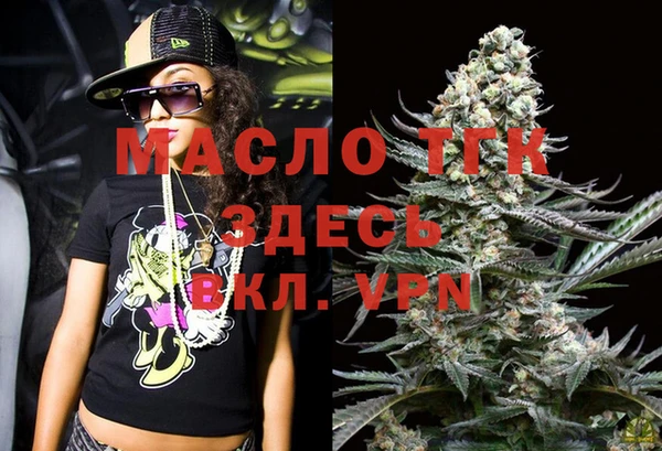 твердый Инсар