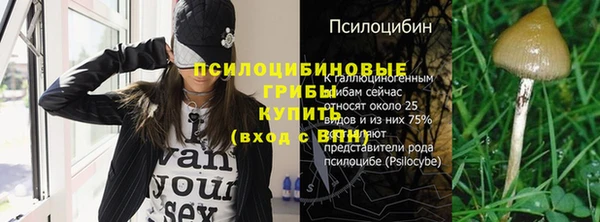 герыч Инта