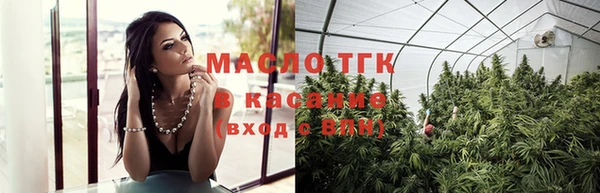 индика Иннополис