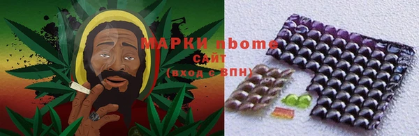 твердый Инсар
